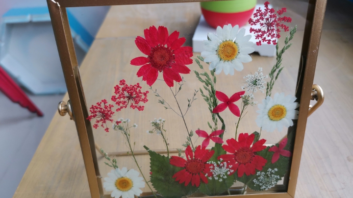 科技手工艺制作 押花玻璃镜框