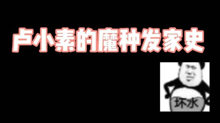 卢小素的魔种发家史