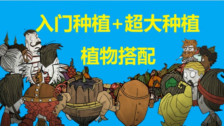 种植流程+搭配