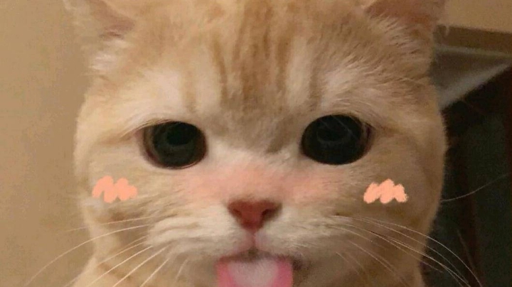 111