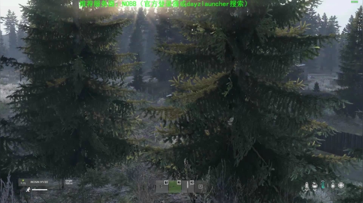 【2020-12-28 18点场】dayz韩爱东西：dayz(提前给大家拜个早年）