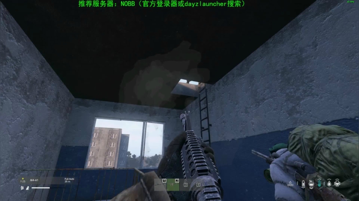 【2020-12-29 18点场】dayz韩爱东西：dayz(提前给大家拜个早年）