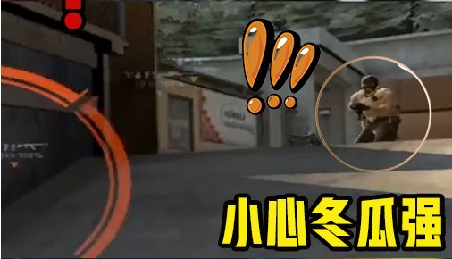 小心冬瓜强