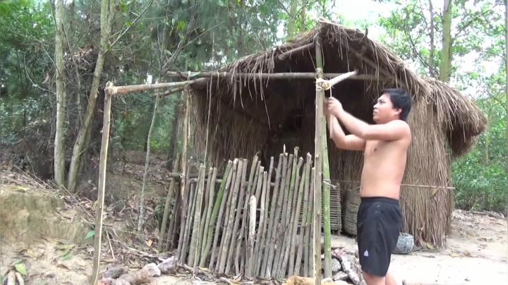 P24_24木薯粉饲养