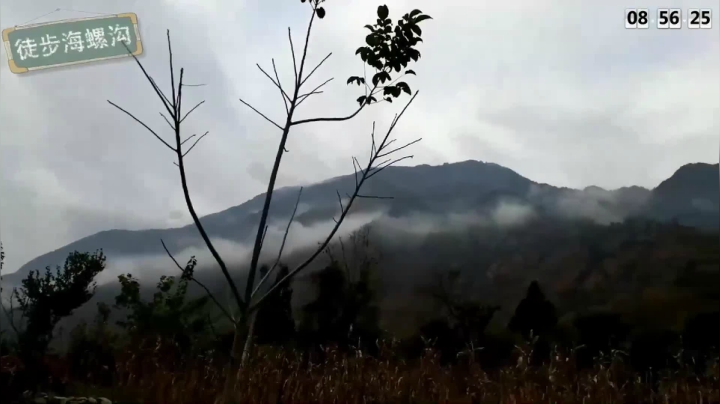 【户外】叶子户外的精彩时刻 20201230 02点场