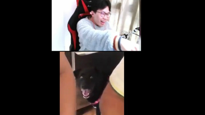 【加油科伦】我又来求绝杀了
