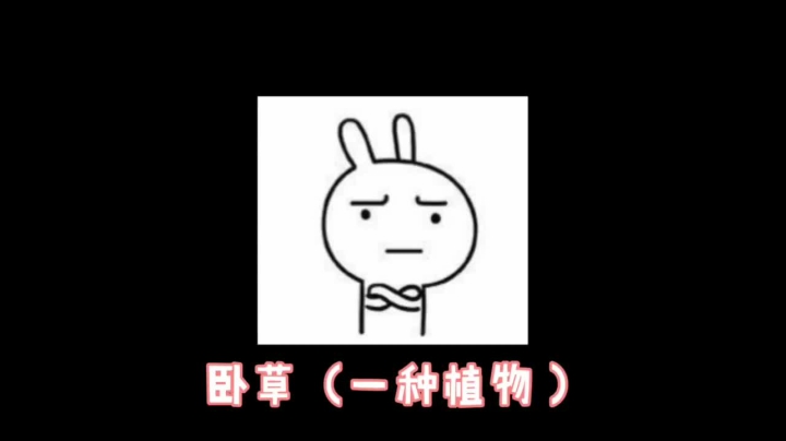 solo训练营里的源哥，最终还是我输了。