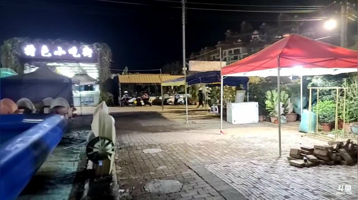 【2020-12-30 19点场】叶子户外：《纪实直播》德宏到西双版纳，翁丁