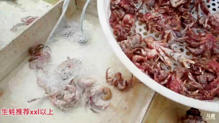 【美食】威海高哥587997的精彩时刻 20201231 15点场