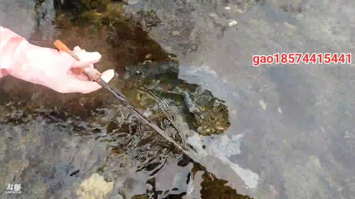 【2020-12-31 11点场】魅力生活i：欢迎各位大佬来魅力做客