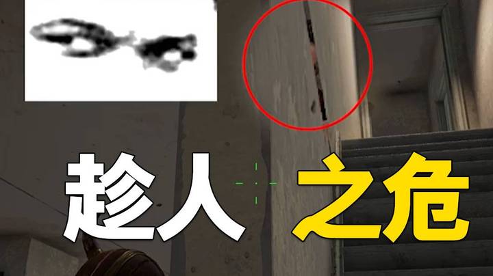 【一条小团团】八发子弹解决他...