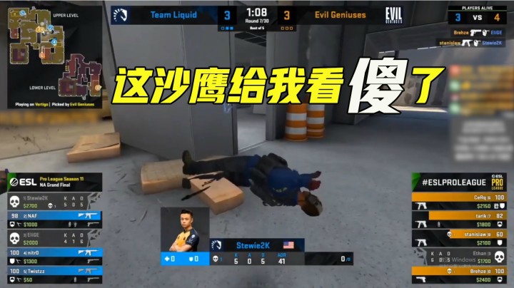 这沙鹰给我看傻了