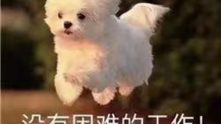 黑黑黑黑黑
