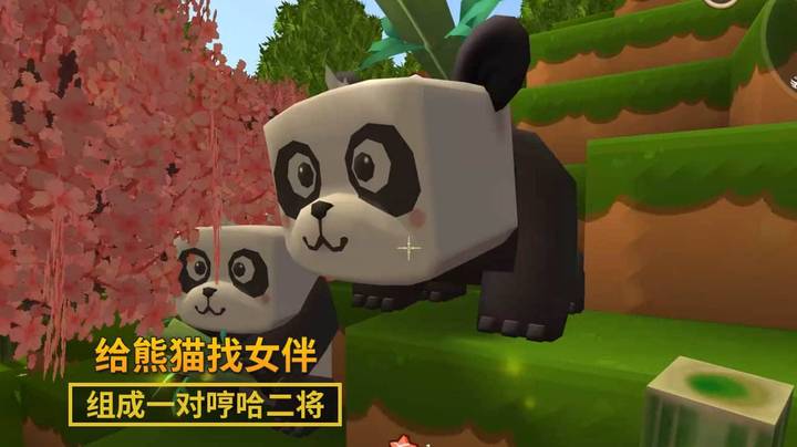 迷你世界极限生存12：我在竹林中，给宠物熊猫找了一个女伴