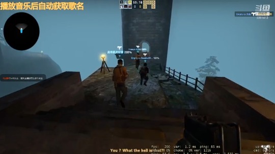 Dw的幸福时刻