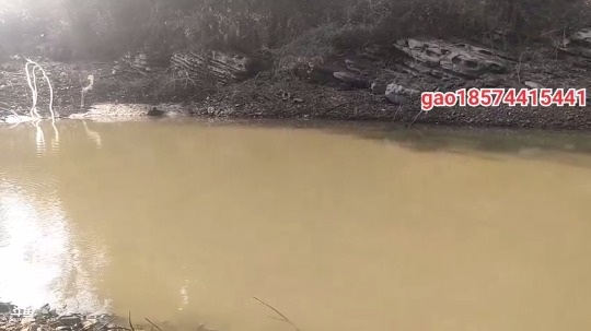 【2021-01-01 13点场】魅力生活i：大塘马上开干