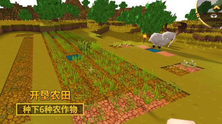 迷你世界极限生存7：我开垦了一大片土地，种下了几种农作物
