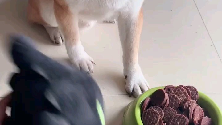 [鲨鱼宝宝][鲨鱼宝宝][鲨鱼宝宝][鲨鱼宝宝]