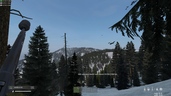 Dayz