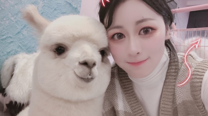 遛悦悦宝贝的一天
