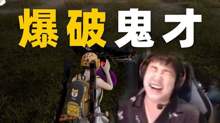 【一条小团团】高光时刻：职业玩家被团团打出痛苦面具~