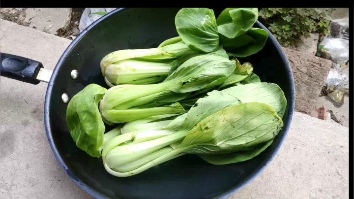 【2021-01-01 09点场】史维佳：刚刚开始了