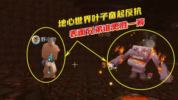 荒岛求生172：地心叶子奋起反抗，“表面兄弟”究竟谁更胜一筹？