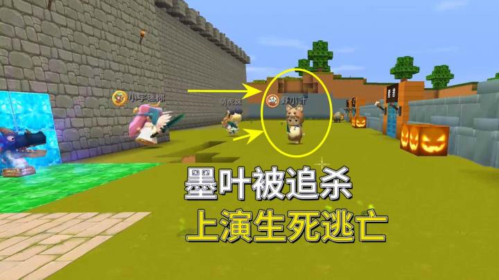 迷你世界荒岛求生241：墨叶兄弟激怒小宇被爆锤，上演生死逃亡