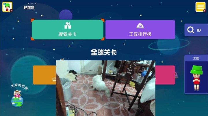 孙养猫