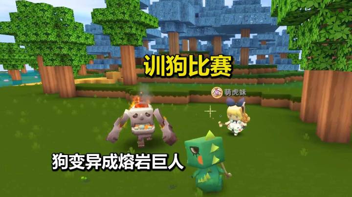 迷你世界荒岛二季28：和萌虎妹训狗比赛！她的狗变异成了熔岩巨人
