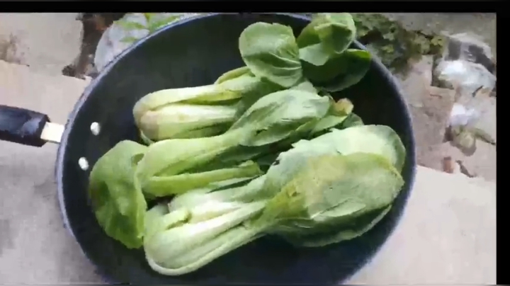 【2021-01-02 12点场】史维佳：刚刚开始了