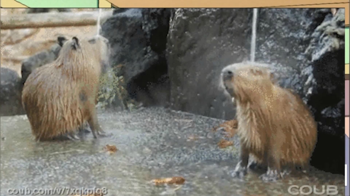 【2021-01-03 10点场】史维佳：刚刚开始了