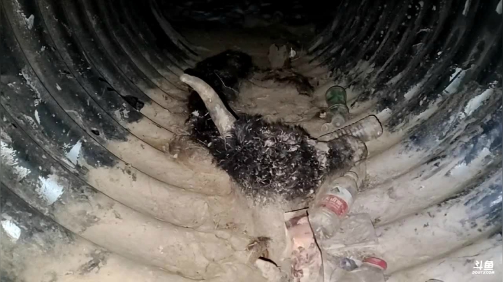 【2021-01-06 21点场】叶子户外：晚上七点带大家看冰川去咯