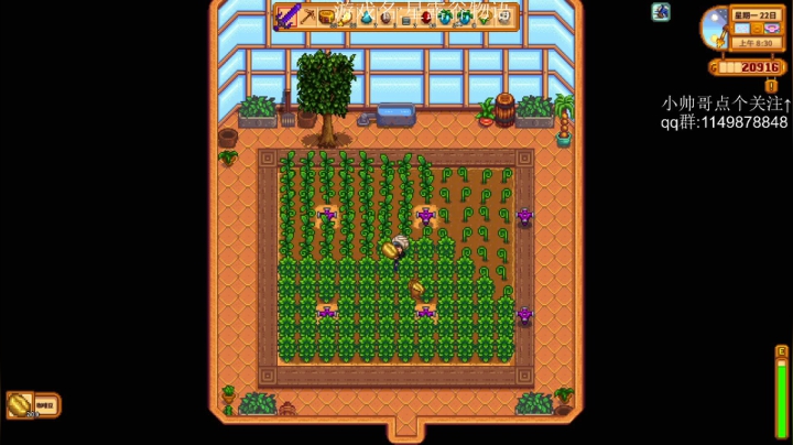 【2021-01-05 20点场】帅帅的老翔翔：介不是地窟滴神么