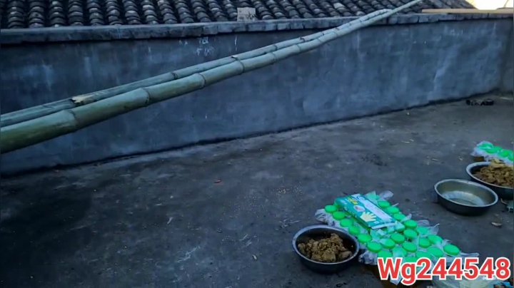 【2021-01-06 17点场】叶子户外：晚上七点带大家看冰川去咯