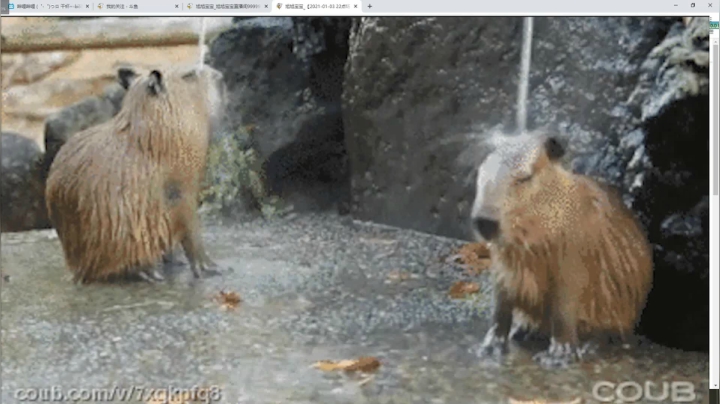 【2021-01-04 02点场】史维佳：刚刚开始了