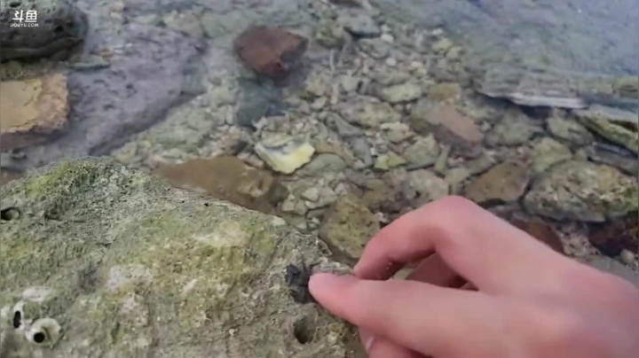 我在斗鱼看川味箩卜直播户外