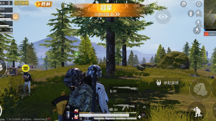 论队友的重要性