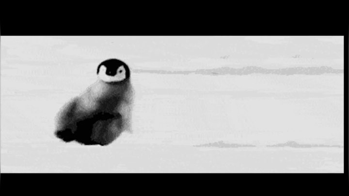 【2021-01-03 12点场】史维佳：刚刚开始了