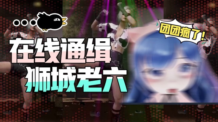 【一条小团团】全网通缉！小团团你被捕了