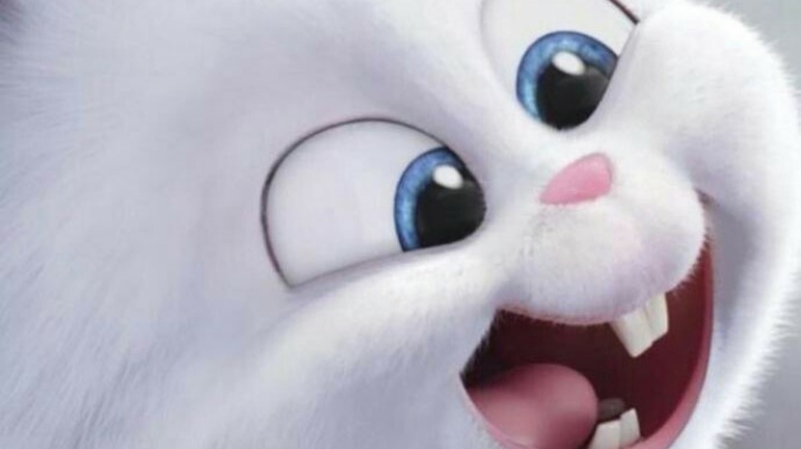 休闲娱乐一场精彩狩猎