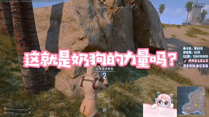 这就是奶狗的力量吗？