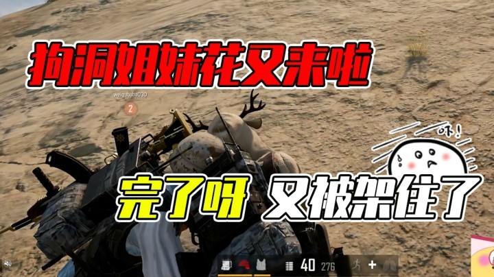 狗洞姐妹花又来啦，他虽然不知道我们在这但是他马上就看到我们了