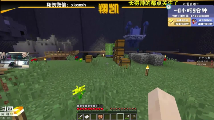 【2021-01-08 23点场】末影龙协会丶翔凯：【翔凯】冲冲冲冲
