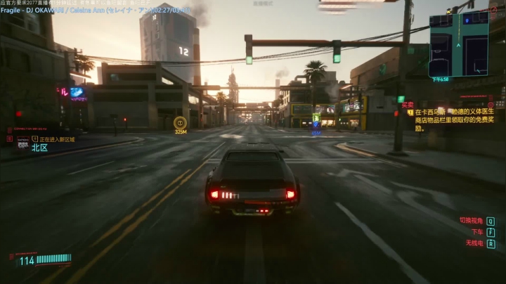 【2021-01-09 13点场】布鲁斯菲尔：赛博精神病 最高难度 前荒坂特工