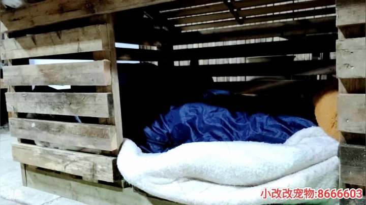 【2021-01-09 02点场】逐梦兄弟：美好的一天 5025477