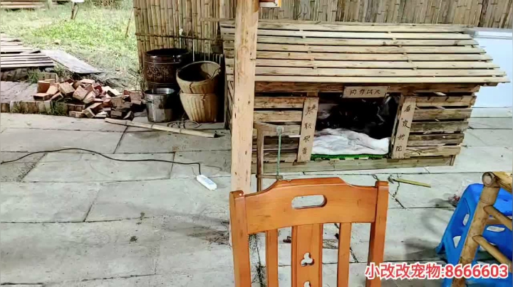 【2021-01-09 16点场】逐梦兄弟：美好的一天 5025477