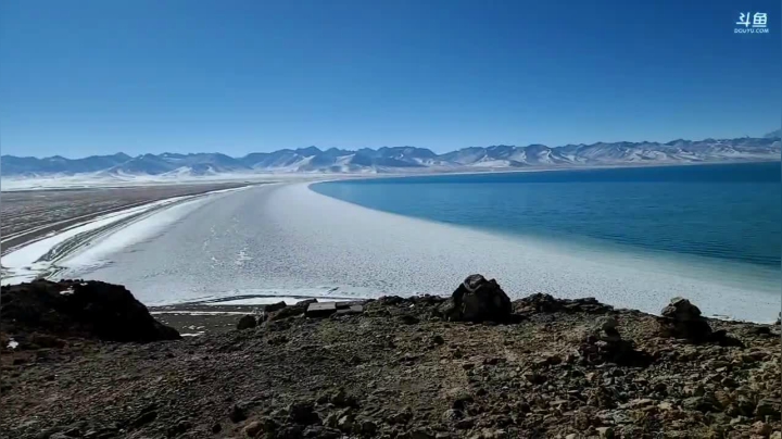 【户外】叶子户外的精彩时刻 20210109 12点场