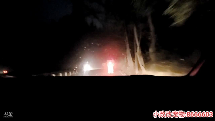 【2021-01-09 18点场】逐梦兄弟：美好的一天 5025477