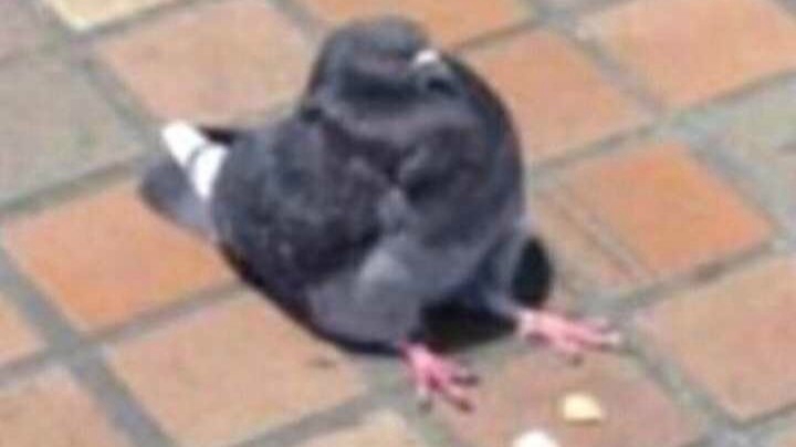 只狼一周目初见Day1